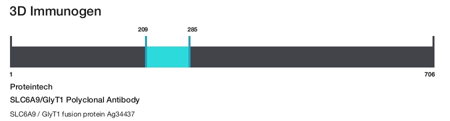SLC6A9/GlyT1 Polyclonal Antibody