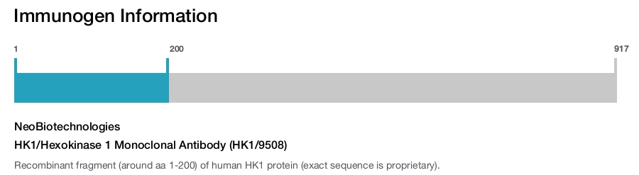 HK1/Hexokinase 1 Monoclonal Antibody (HK1/9508)