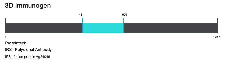 IRS4 Polyclonal Antibody