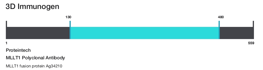 MLLT1 Polyclonal Antibody