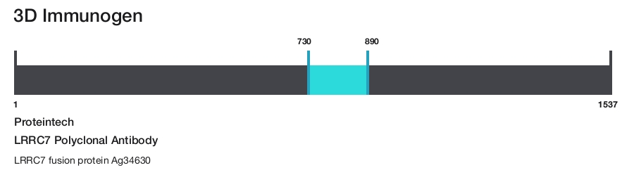 LRRC7 Polyclonal Antibody