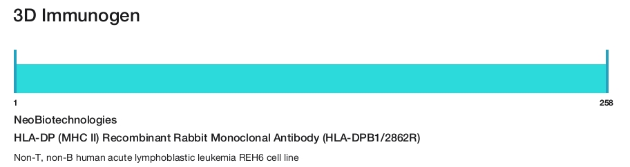 HLA-DP (MHC II) Recombinant Rabbit Monoclonal Antibody (HLA-DPB1/2862R)