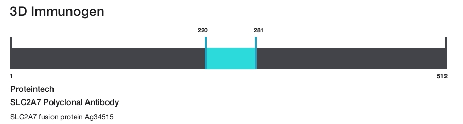 SLC2A7 Polyclonal Antibody