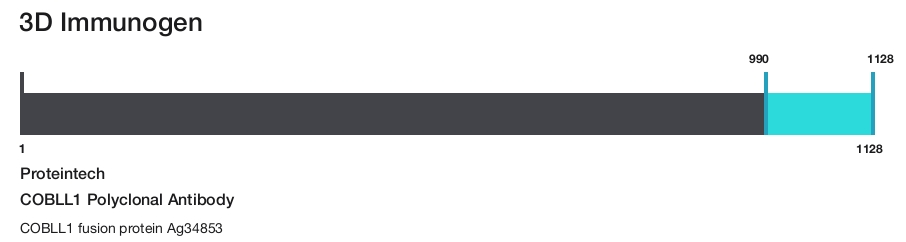 COBLL1 Polyclonal Antibody