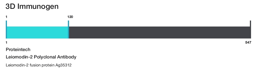 Leiomodin-2 Polyclonal Antibody