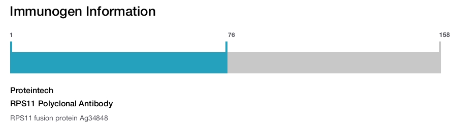 RPS11 Polyclonal Antibody
