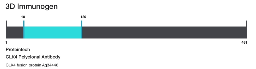 CLK4 Polyclonal Antibody