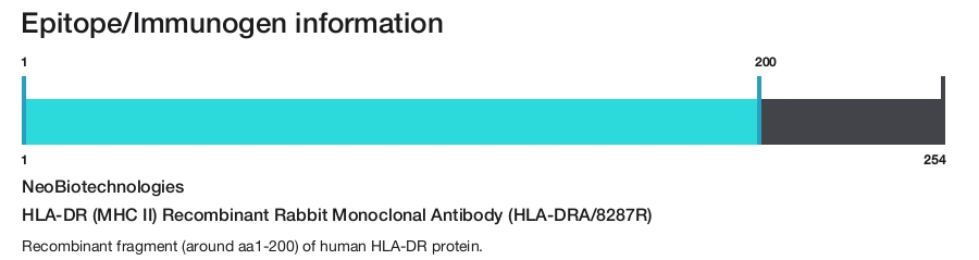 HLA-DR (MHC II) Recombinant Rabbit Monoclonal Antibody (HLA-DRA/8287R)