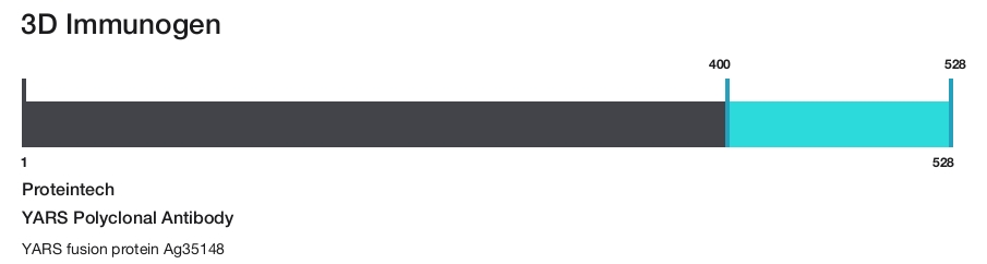 YARS Polyclonal Antibody