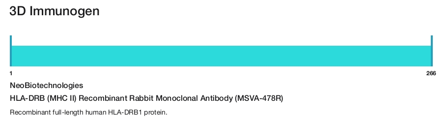HLA-DRB (MHC II) Recombinant Rabbit Monoclonal Antibody (MSVA-478R)