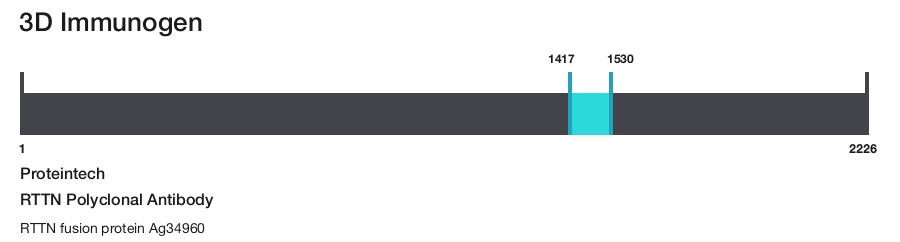 RTTN Polyclonal Antibody