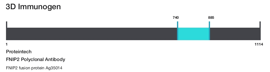 FNIP2 Polyclonal Antibody