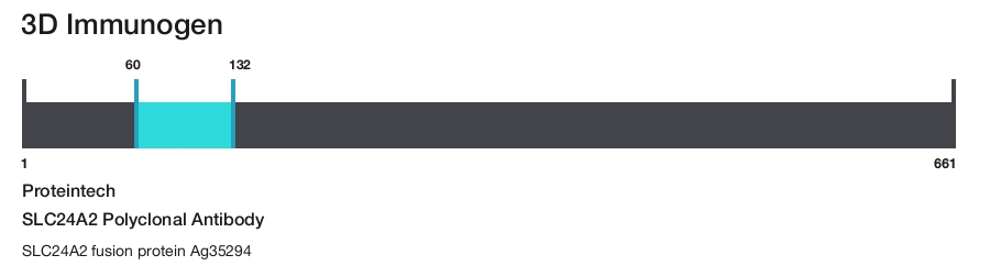 SLC24A2 Polyclonal Antibody