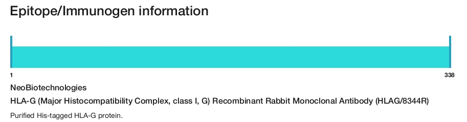 HLA-G (Major Histocompatibility Complex, class I, G) Recombinant Rabbit Monoclonal Antibody (HLAG/8344R)