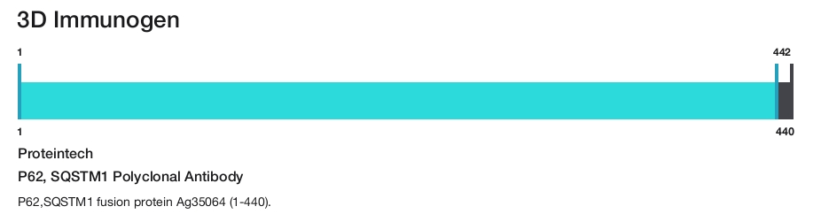 P62, SQSTM1 Polyclonal Antibody