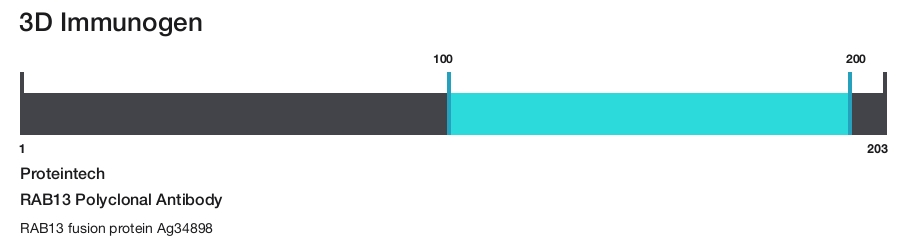 RAB13 Polyclonal Antibody
