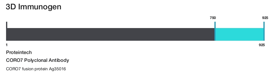 CORO7 Polyclonal Antibody