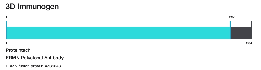 ERMN Polyclonal Antibody