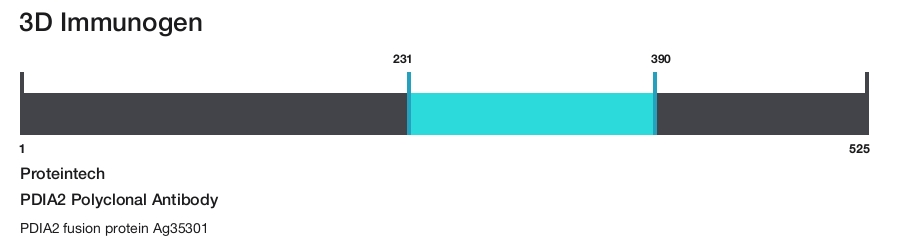 PDIA2 Polyclonal Antibody