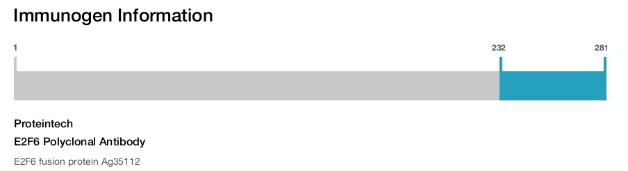 E2F6 Polyclonal Antibody