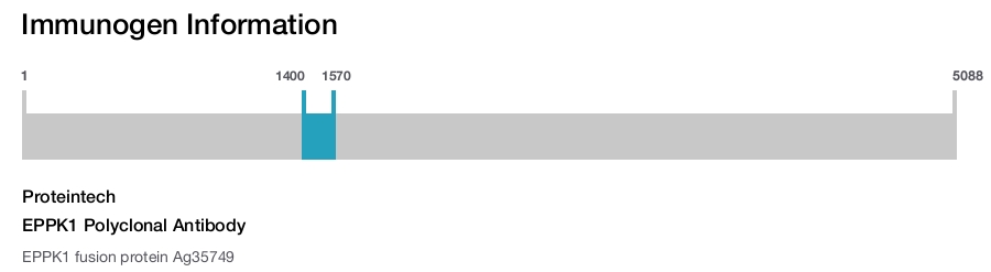 EPPK1 Polyclonal Antibody