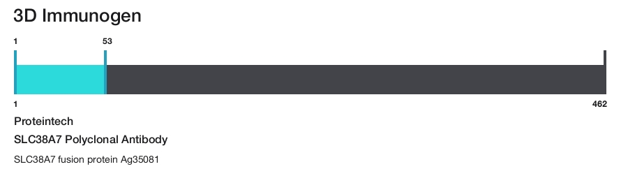 SLC38A7 Polyclonal Antibody