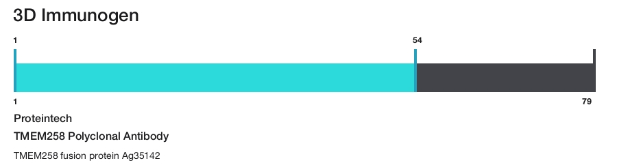 TMEM258 Polyclonal Antibody