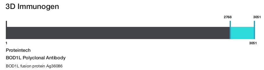 BOD1L Polyclonal Antibody