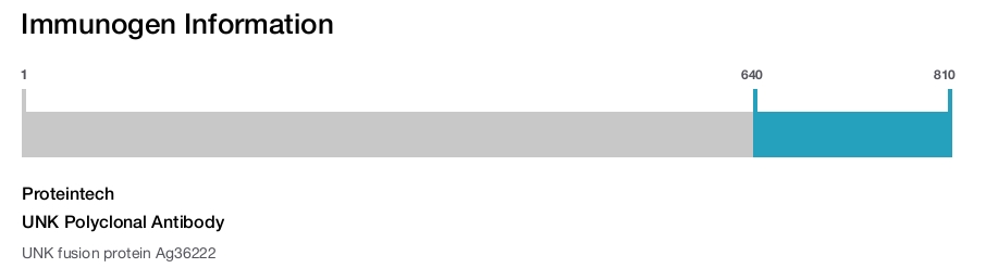 UNK Polyclonal Antibody