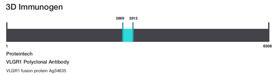 VLGR1 Polyclonal Antibody
