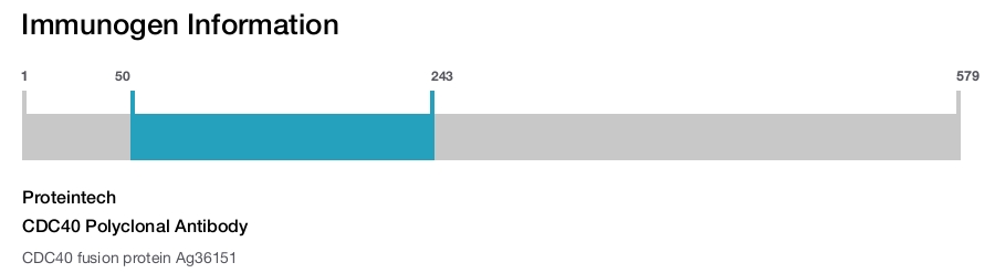CDC40 Polyclonal Antibody