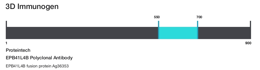EPB41L4B Polyclonal Antibody