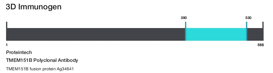 TMEM151B Polyclonal Antibody