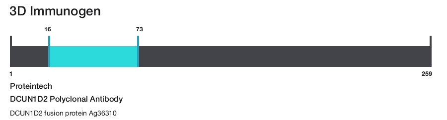 DCUN1D2 Polyclonal Antibody