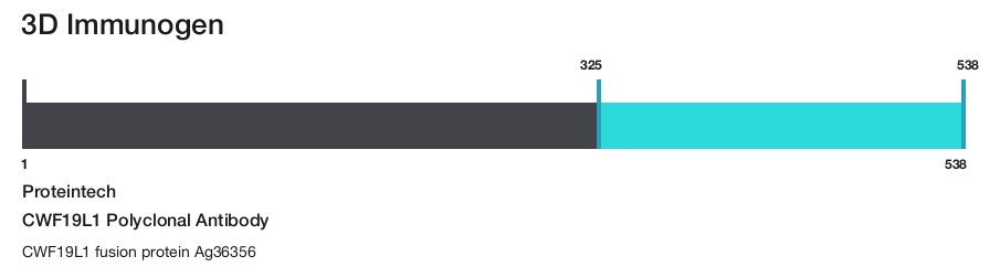 CWF19L1 Polyclonal Antibody