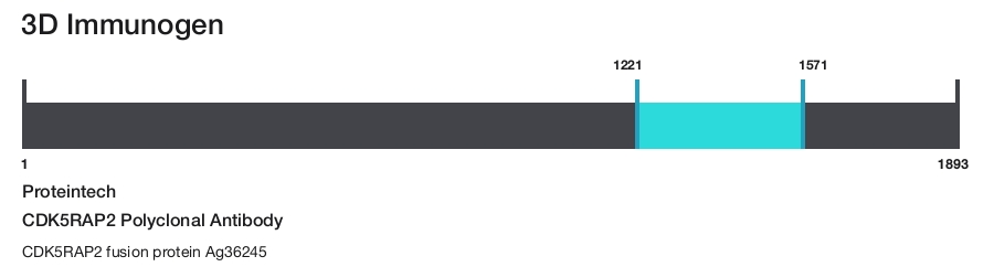 CDK5RAP2 Polyclonal Antibody