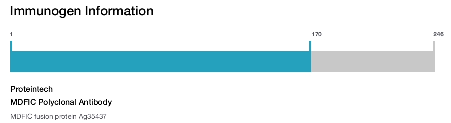MDFIC Polyclonal Antibody