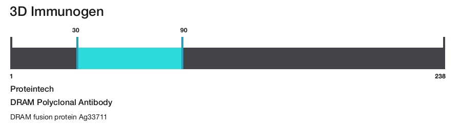 DRAM Polyclonal Antibody