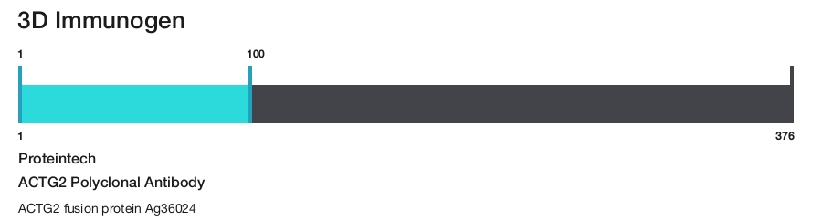 ACTG2 Polyclonal Antibody