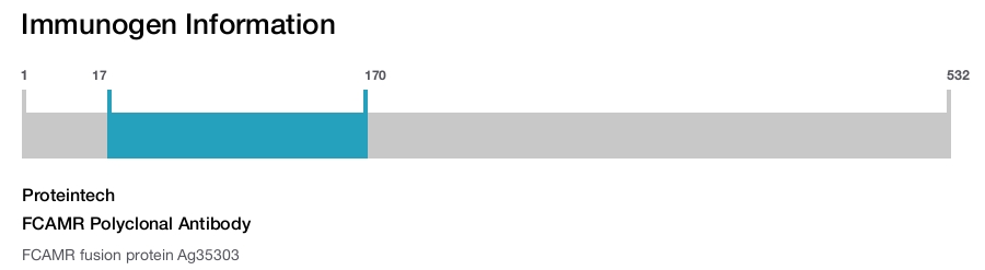 FCAMR Polyclonal Antibody