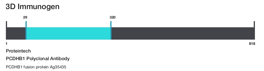 PCDHB1 Polyclonal Antibody