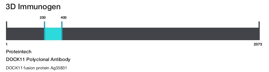 DOCK11 Polyclonal Antibody