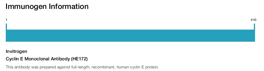 Cyclin E Monoclonal Antibody (HE172)