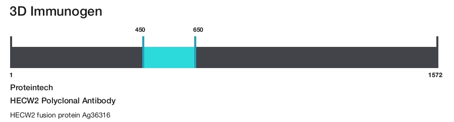 HECW2 Polyclonal Antibody