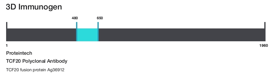 TCF20 Polyclonal Antibody