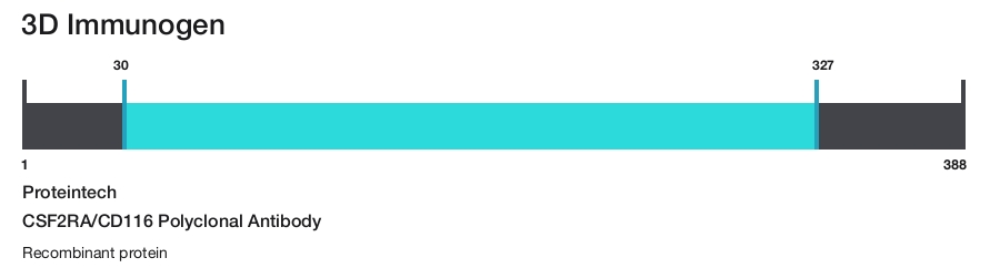 CSF2RA/CD116 Polyclonal Antibody
