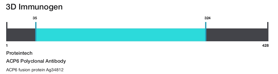 ACP6 Polyclonal Antibody