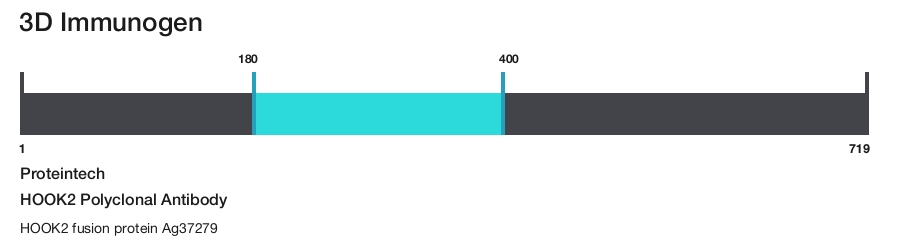 HOOK2 Polyclonal Antibody