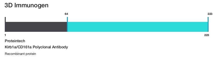 Klrb1a/CD161a Polyclonal Antibody