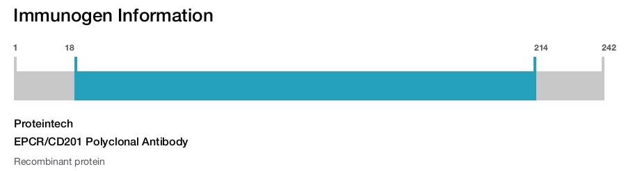 EPCR/CD201 Polyclonal Antibody